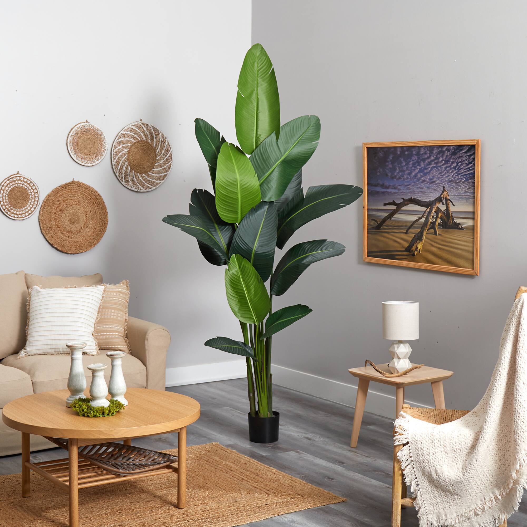 7ft. Potted Artificial Travelers Palm Tree